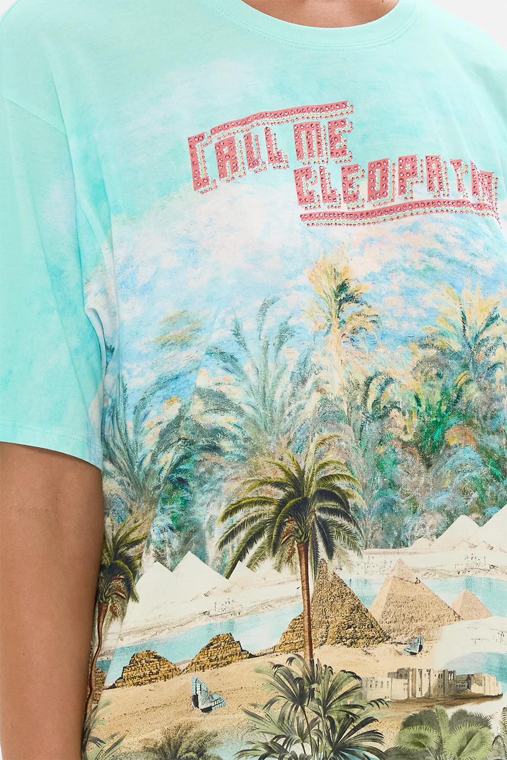 OVERSIZED BAND TEE - MULTI VIEWS OF THE VALLEY - Image 6