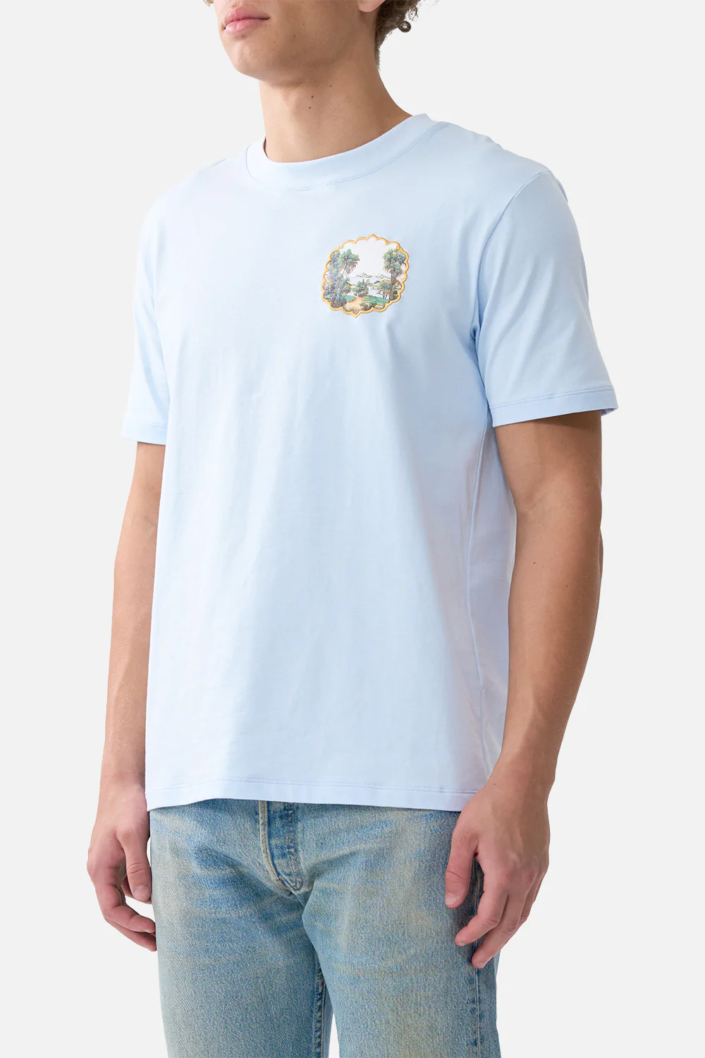 RELAXED HEAVYWEIGHT CREW NECK TEE BOTANICAL BALLADS - Image 5